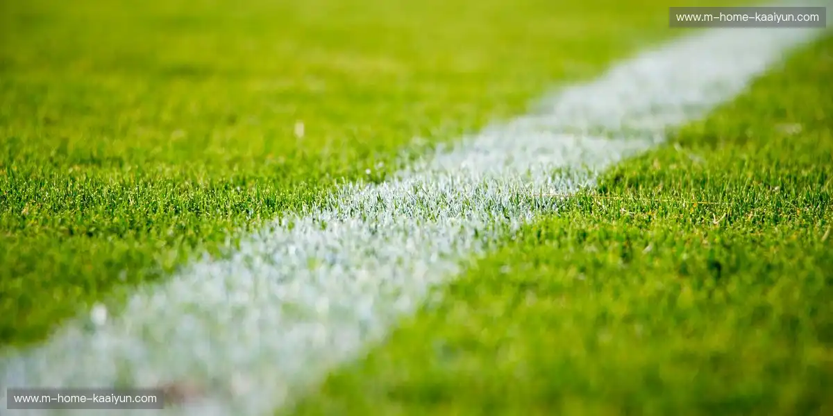 赛事画面毫无波动抖动